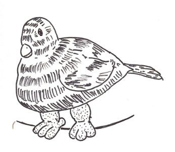 Fat Bird (inspired by Fernando Botero)